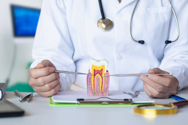 Best Mobile Emergency Dentist in Romancoke, MD